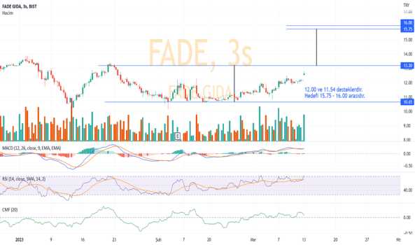 FADE için analizim :) - FADE GIDA